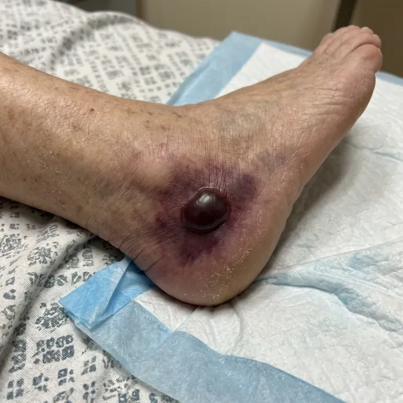 صورة مرفقة بالسؤال